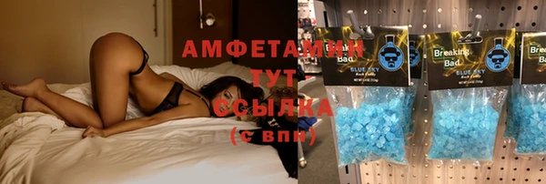 твердый Абаза