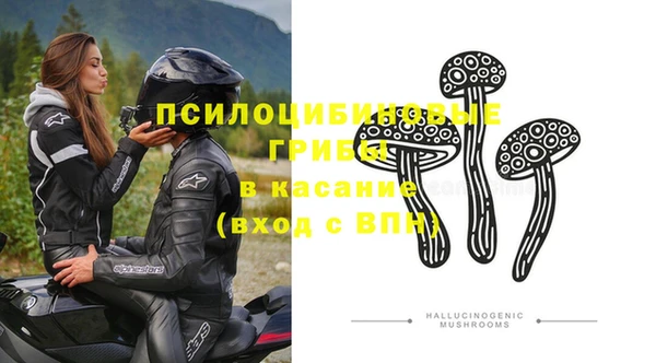 мдпв Абдулино