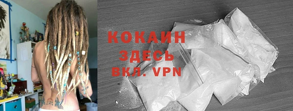 твердый Абаза