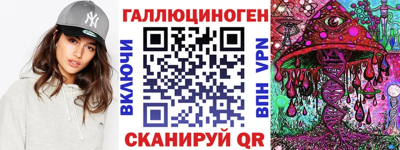 мега вход  Энгельс  Псилоцибиновые грибы Psilocybe 